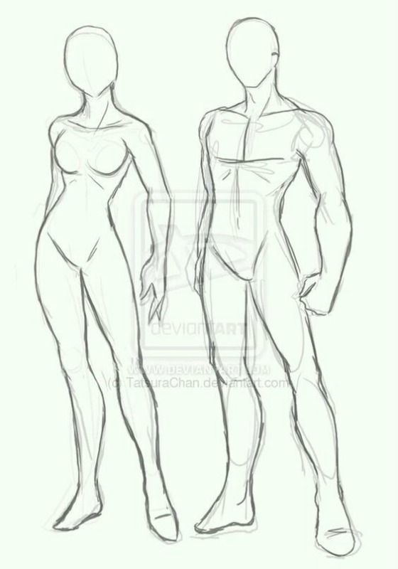 Sketch of male and female human figure templates for drawing reference. Basic anatomy guide for artists and illustrators.