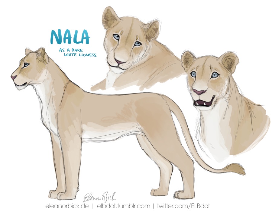 Illustration of Nala as a rare white lioness with side view, front view, and three-quarter view by Eleanorbick.
