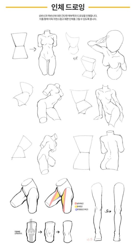 How to Draw Body: A Beginner’s Guide | Sky Rye Design