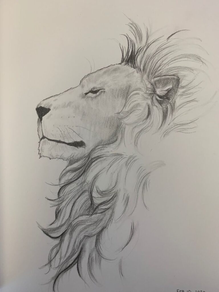 Pencil sketch of a majestic lion profile with detailed mane and serene expression, showcasing artistic skill and natural beauty.