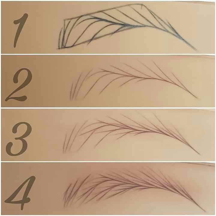 Four stages of eyebrow microblading technique shown in a step-by-step graphic; stages 1 to 4 with increasingly detailed strokes.