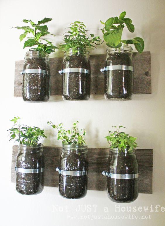 Wall-mounted mason jars filled with soil and various plants, creating a DIY indoor garden.