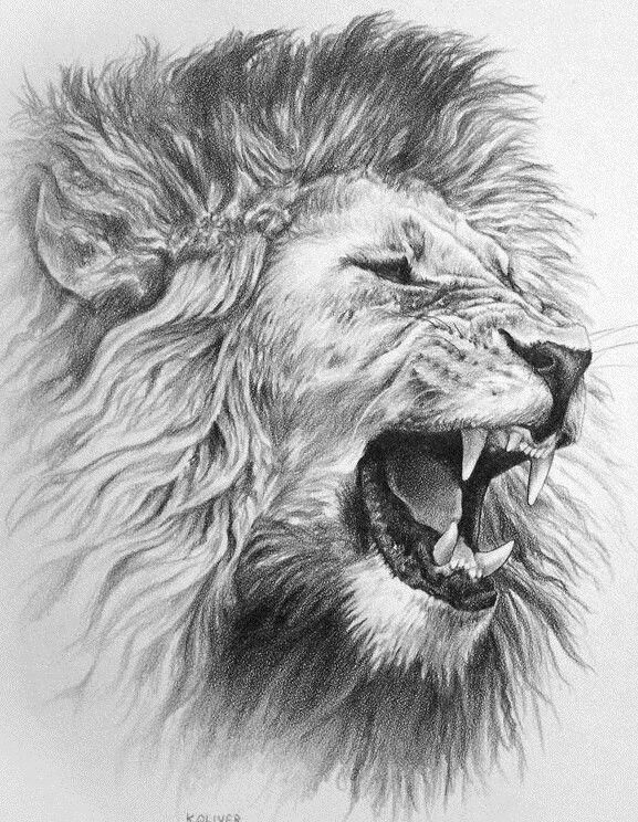 Pencil drawing of a roaring lion showcasing its sharp teeth and detailed mane. Majestic wildlife art illustration.