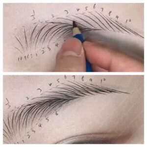 How to Draw Eyebrows: Easy Step-by-Step Drawing Guide