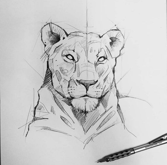 Detailed pencil sketch of a lioness with a mechanical pencil placed at the corner of the paper. 🦁✏️ #Art #Sketching