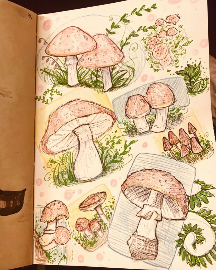 A sketchbook page filled with various hand-drawn mushrooms, surrounded by green foliage and flowers. The mushrooms are illustrated in different styles and colors.