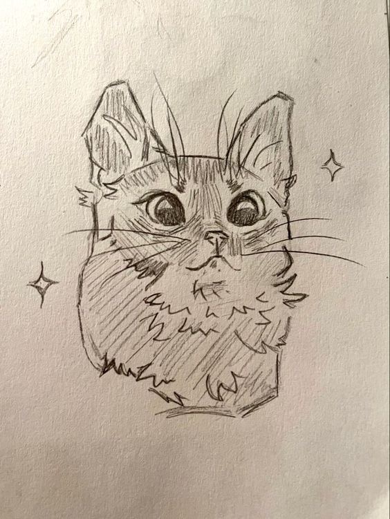A pencil sketch of a cat's head with detailed fur and big eyes, surrounded by a few sparkles.