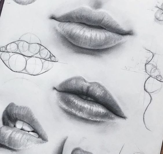 Realistic pencil drawings of lips with sketch guidelines for illustration and anatomy study.