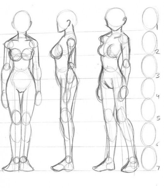 3D female figure drawing in three perspectives, showcasing head-to-toe proportions useful for artists.