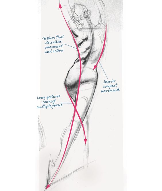 Sketch of a human figure with annotations explaining gesture drawing, indicating movement and action using long and short lines.