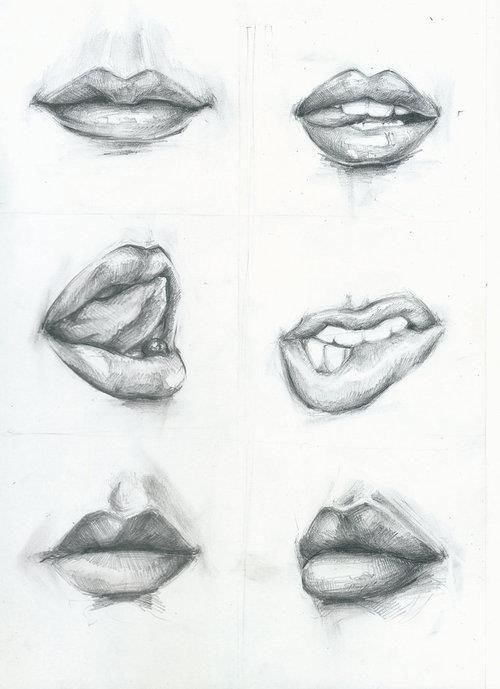 Sketch of six human lips in various expressions and positions, showcasing artistic pencil shading and detailed mouth anatomy.