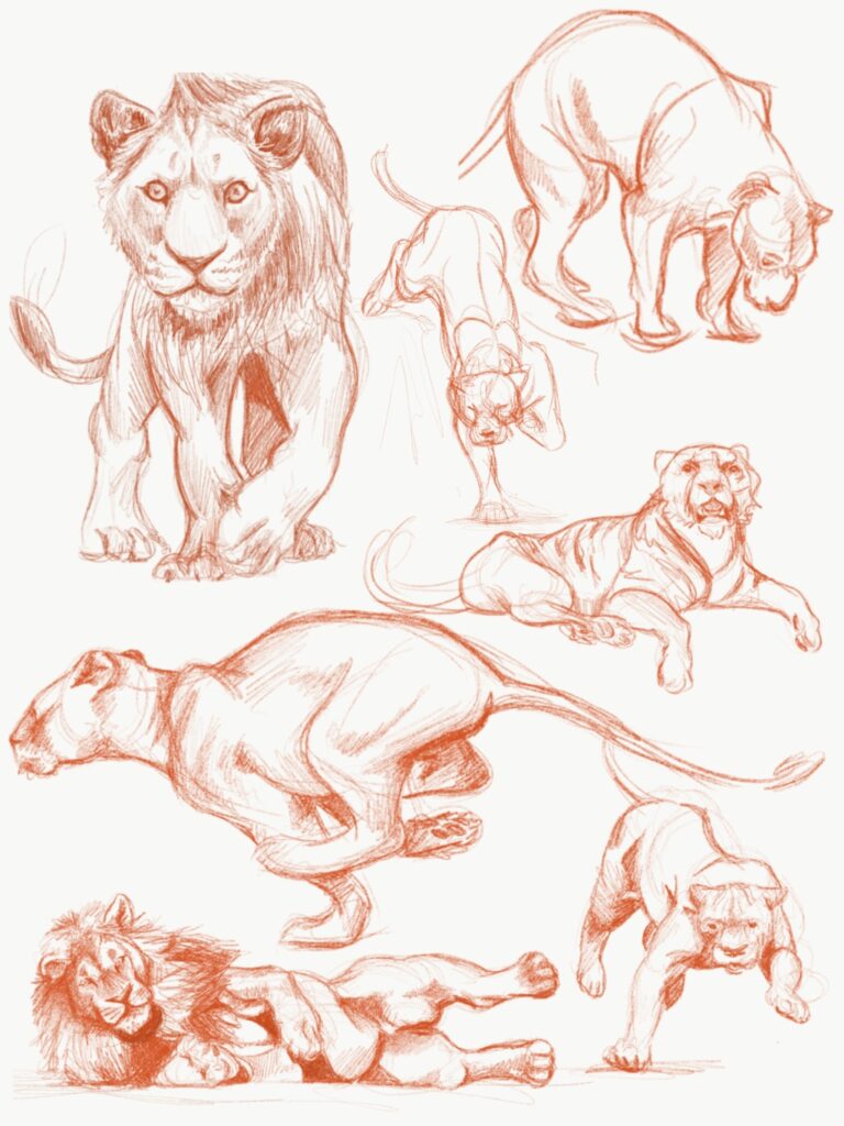 Pencil sketches of lions in various poses, including standing, pouncing, lying down, and mid-action movements.