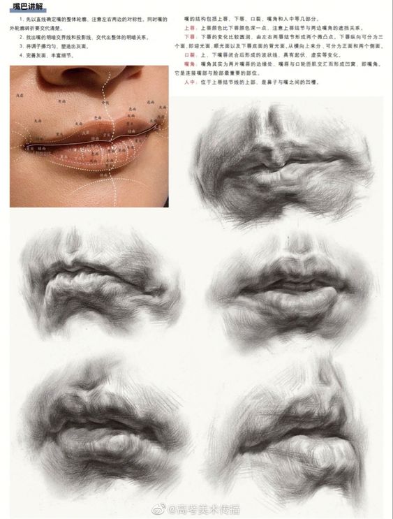 Detailed artistic guide for drawing realistic lips, showcasing step-by-step lip sketches and anatomical structure.