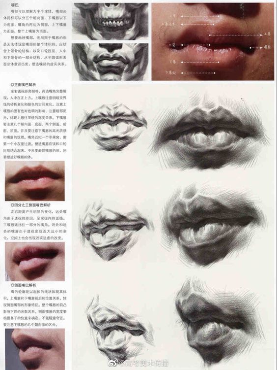 Detailed pencil sketches and descriptions of lips, including anatomy, shading techniques, and real-life photo references for artists.