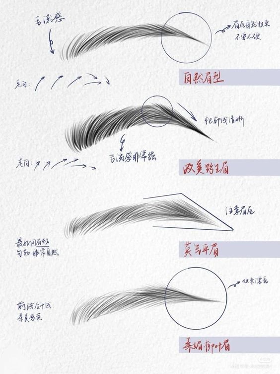 Illustration of different eyebrow styles labeled in Chinese, showcasing natural, arched, flat, and drooping eyebrow shapes.