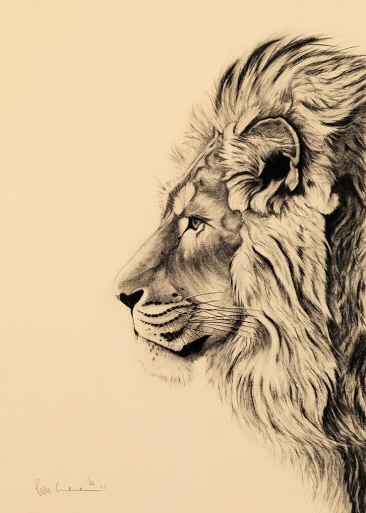 Detailed lion profile pencil drawing by an artist on a beige background, focusing on the lion's majestic mane and facial features.