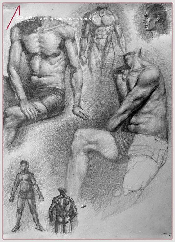 Detailed pencil sketches of muscular male figures in various poses, highlighting anatomy and figure drawing techniques.
