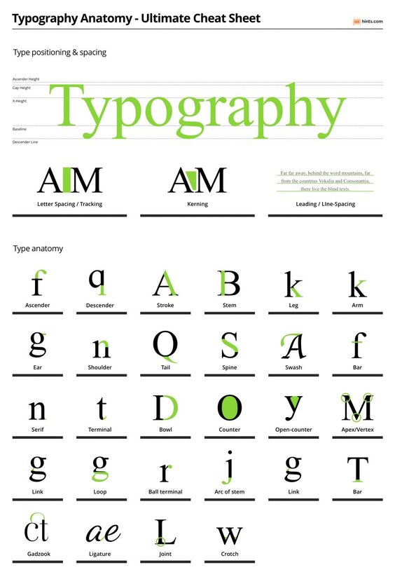 Typography Anatomy Cheat Sheet: Definitions for letter spacing, kerning, leading, and parts of characters including loops, stems, and ascenders.