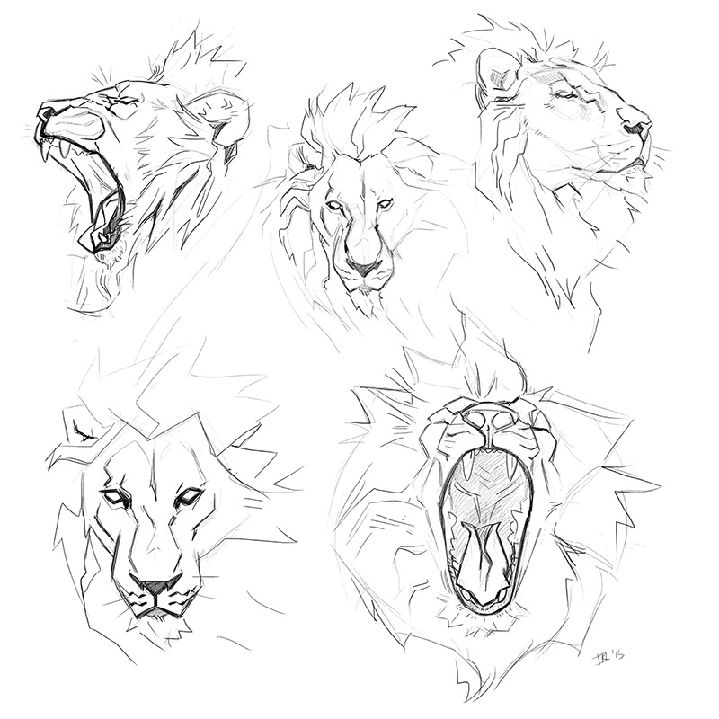 Sketches of lions showing various expressions, including roaring, yawning, and calm, captured in a detailed black-and-white illustration.