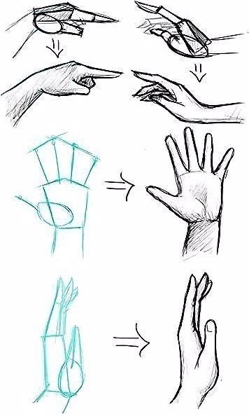 A step-by-step guide on how to draw hands in various positions, including pointing, an open palm, and a side view. The guide transitions from basic geometric shapes to detailed sketches.