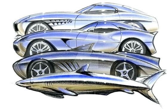 Concept car designs inspired by the sleek look of a shark, showcasing futuristic and aerodynamic features.