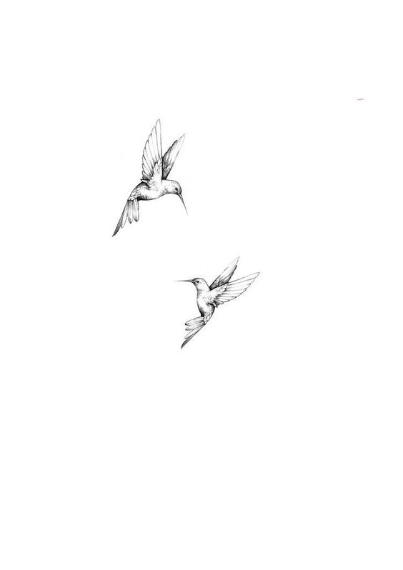 Black and white sketch of two hummingbirds in flight, detailed illustration on a plain white background.