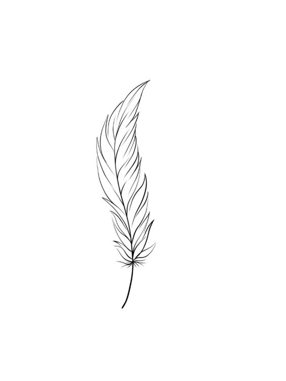 Minimalist black and white feather line drawing on a white background, representing lightness and elegance.