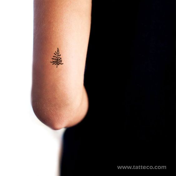 Minimalist tree tattoo on inner arm, black ink. Simple, elegant design for nature lovers.