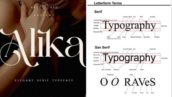 Image showing the Alika elegant serif typeface and a comparison of letterform terms between serif and sans serif fonts.