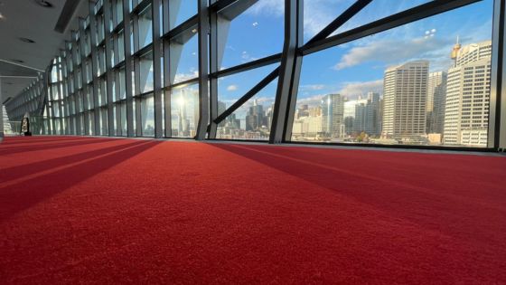 Expansive red carpeted hallway with large windows showcasing a panoramic cityscape view on a sunny day.