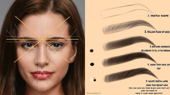 How to draw realistic eyebrows: Step-by-step guide featuring face proportions on left and eyebrow drawing techniques on right.