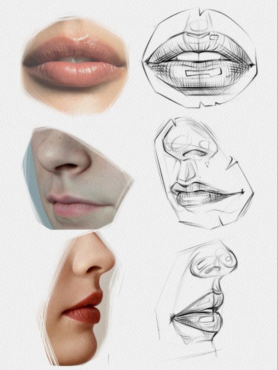 Realistic and sketch images of lips and noses showcasing different drawing techniques and facial feature studies.