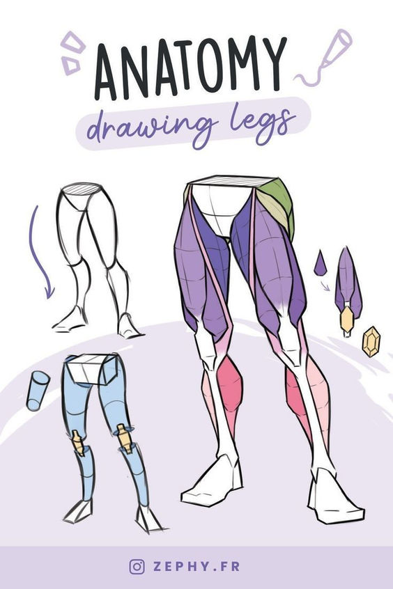Illustration guide for drawing anatomically correct legs, showing different stages and styles of leg anatomy drawing.