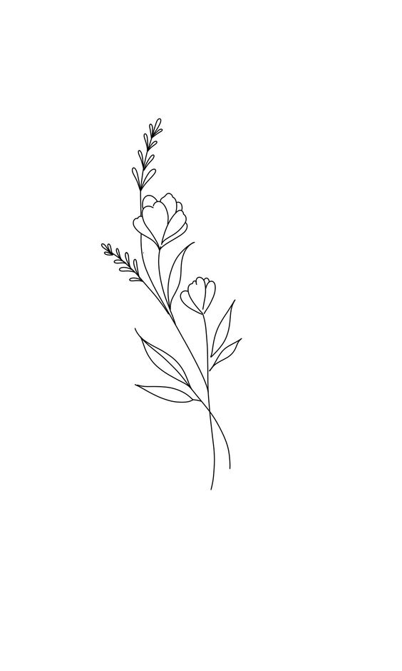 Minimalist line drawing of a floral branch featuring two blooming flowers and slender leaves on a white background.