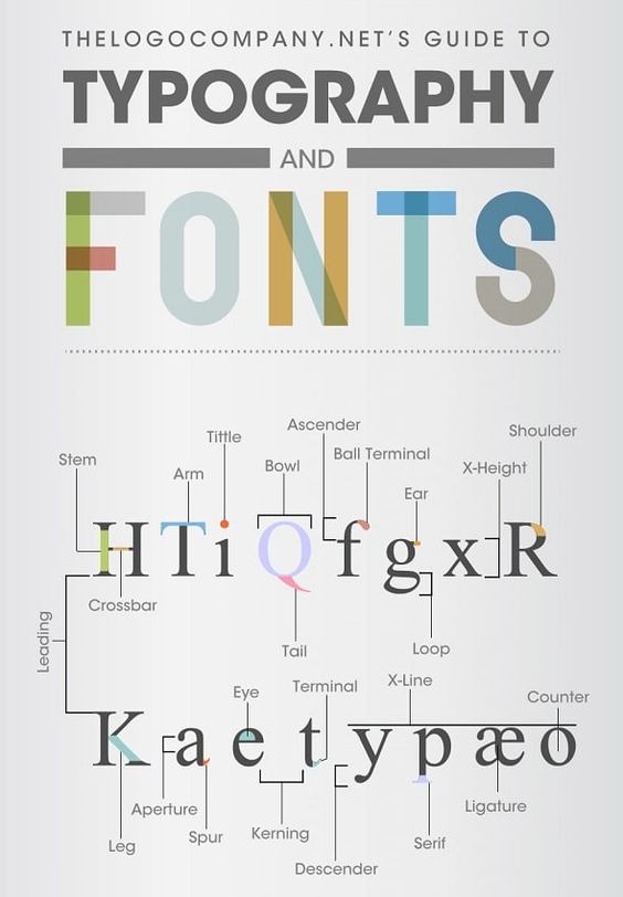 Guide to typography and fonts with labeled parts of various letters, showcasing different typographic terminology.