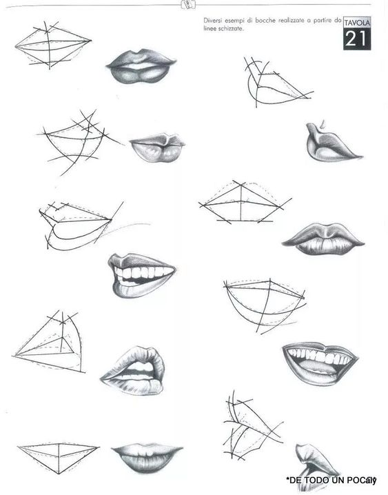 Illustrated guide depicting various drawings of lips with sketch lines showing different forms and angles for artistic reference.
