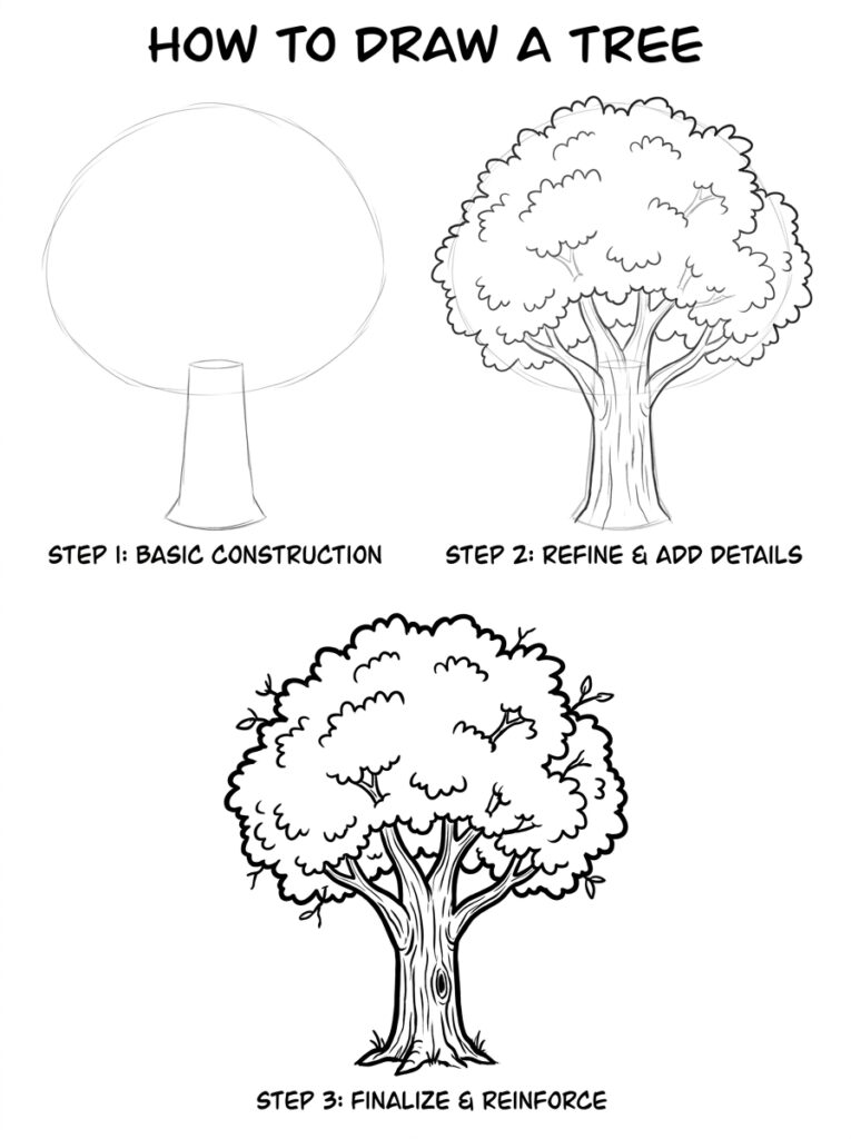 How to draw a tree: three-step tutorial showing basic construction, refined detail work, and final inked tree drawing.