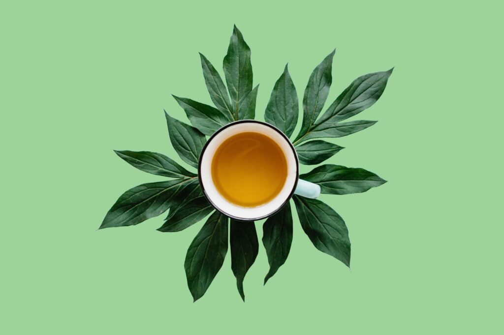 Cup of herbal tea surrounded by green leaves on light green background, symbolizing natural health and relaxation.