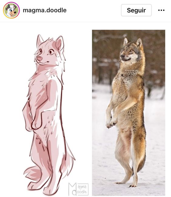 Illustration of an anthropomorphic wolf on the left and a real wolf standing upright on the right in the snow.