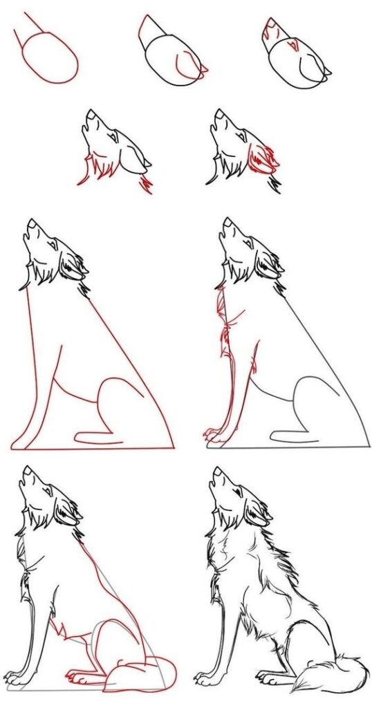 Step-by-step guide to drawing a howling wolf, from basic shapes to detailed lines and shading, perfect for beginners.