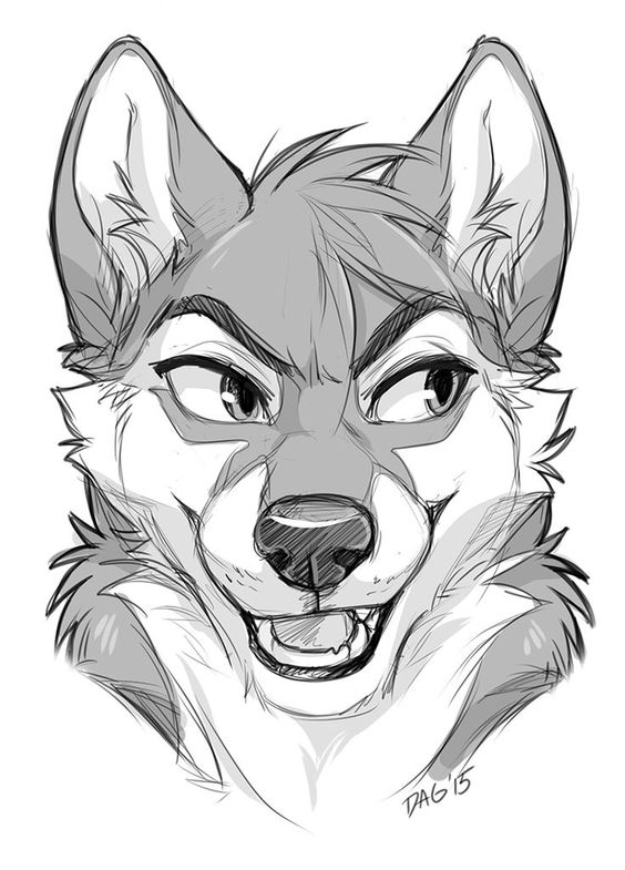 Black and white sketch of a smiling anthropomorphic wolf with expressive eyes, signed DAG '15 at the bottom.