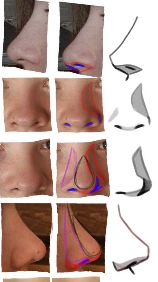 Close-up images of a nose from different angles with colored sketches illustrating the structure and form for drawing tutorials.