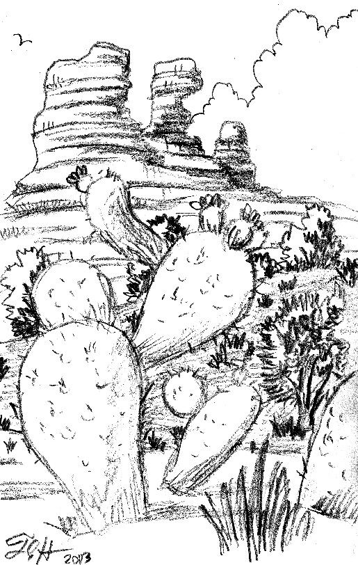 Black and white sketch of desert cacti with rocky cliffs in the background and clouds in the sky, signed artistically.