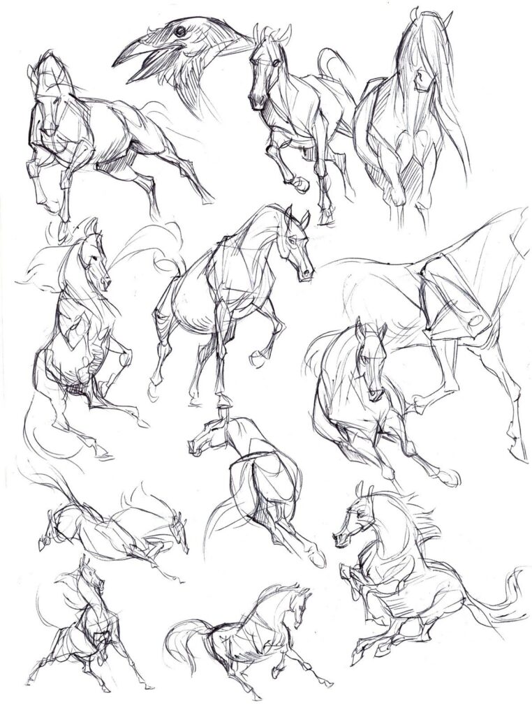 Sketches of horses in dynamic poses and a bird's head, showing various angles and movements in detailed pencil drawings.