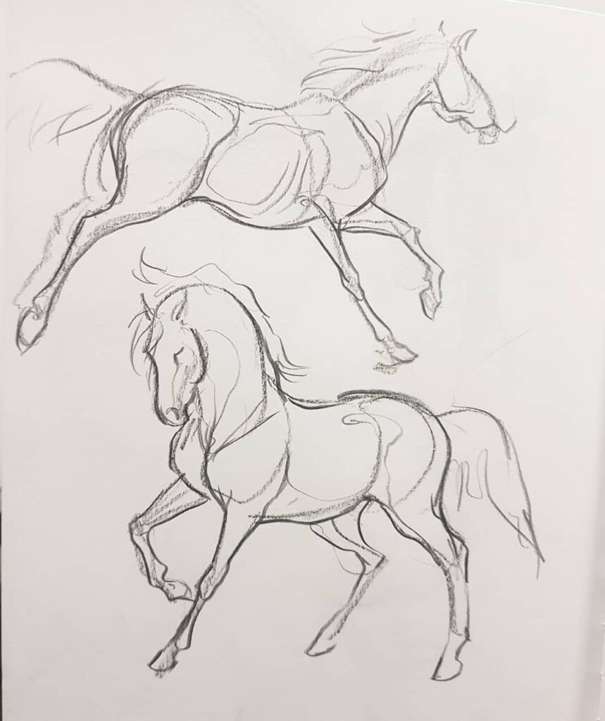 Hand-drawn sketches of horses in motion, showcasing dynamic poses and flowing lines, capturing their grace and strength.