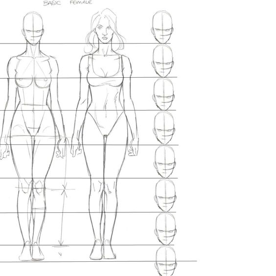 Human body proportions sketch showing basic female anatomy, head ratios, and guidelines for drawing accurate figure proportions.