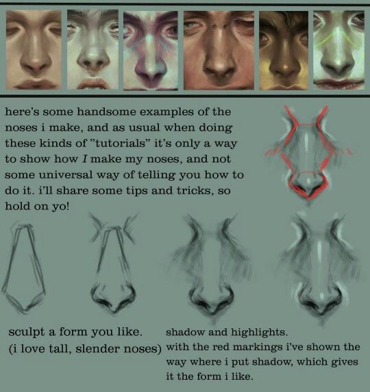 Illustrated tutorial on how to draw noses, featuring examples, tips on form sculpting, shadows, and use of highlights.