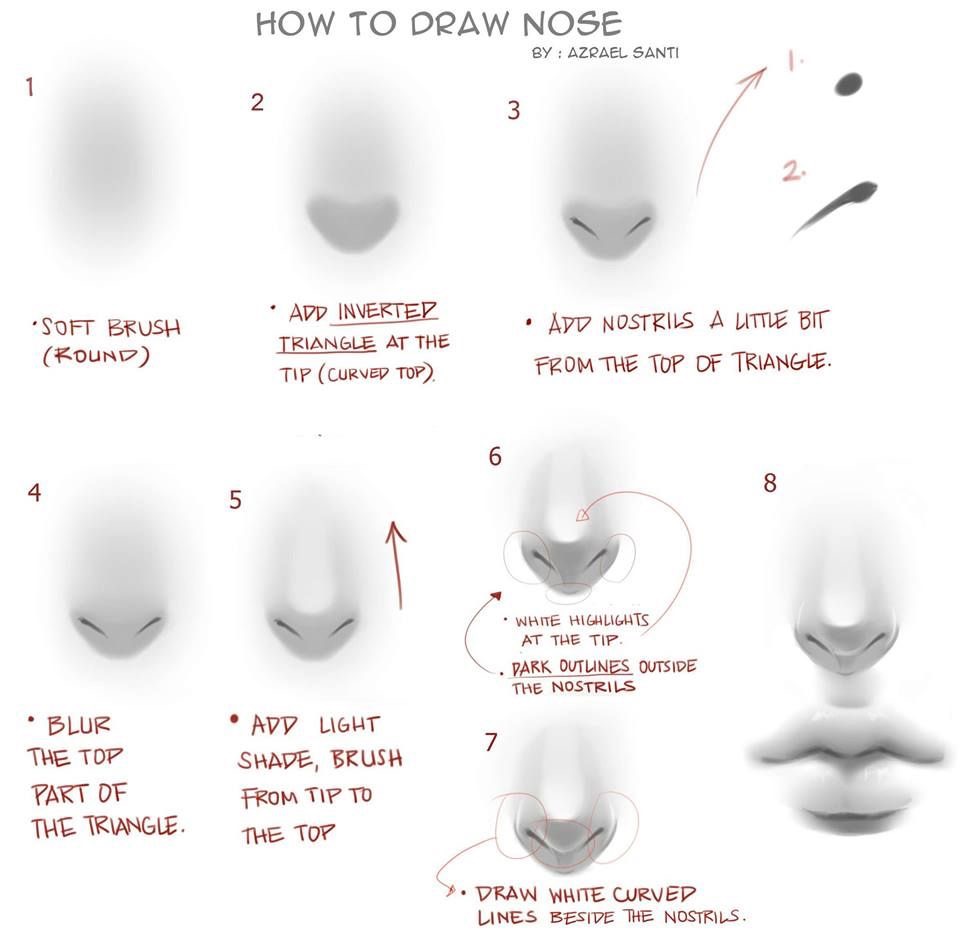 Step-by-step drawing tutorial on how to draw a realistic nose using soft brush techniques with added highlights and shadows.