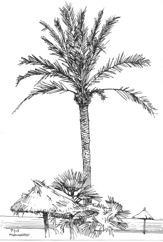 Black and white palm tree illustration with thatched roofs and foliage in the foreground. Tropical beach scene.