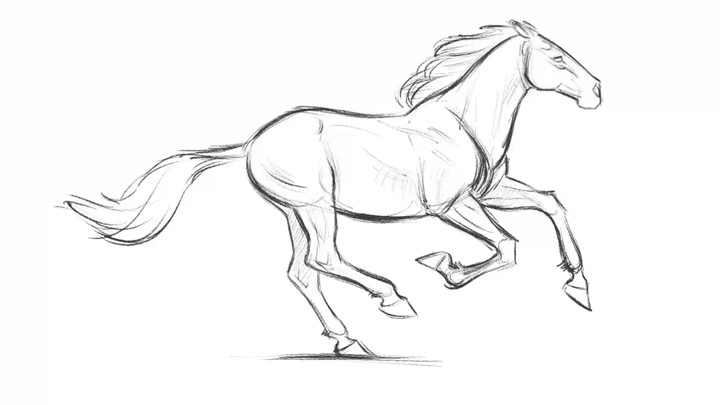 Sketch of a galloping horse with flowing mane and tail, showcasing dynamic motion and artistic detail.